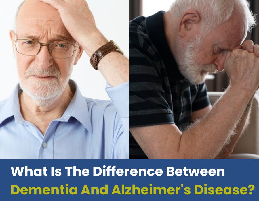 what is the main difference between dementia and alzheimers-Care Givers Pune