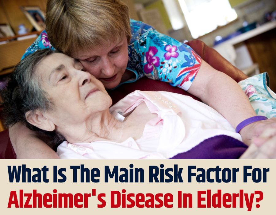 main risk factor for alzheimer's disease in elderly-Care Givers Pune